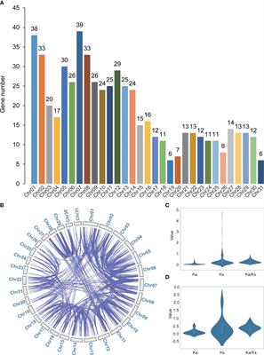 Frontiers Comprehensive Analysis Of The Spartina Alterniflora Wd